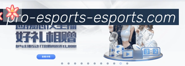 互动解说服务
