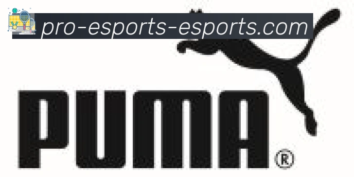 DOTA比分合作伙伴